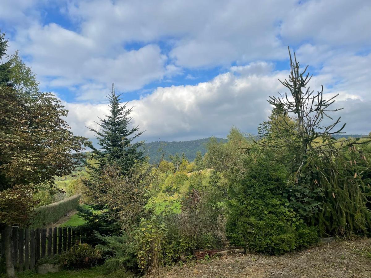 Sielska Chata Czarna  Exterior foto